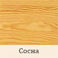 сосна